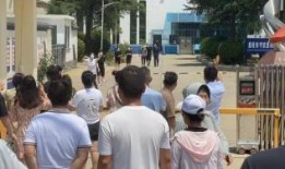 镇平爆料传销案件最新情况,警方重拳出击，涉案人员落网情况揭晓